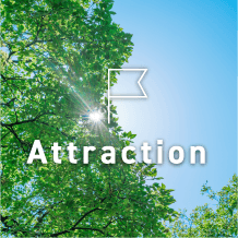 attraction