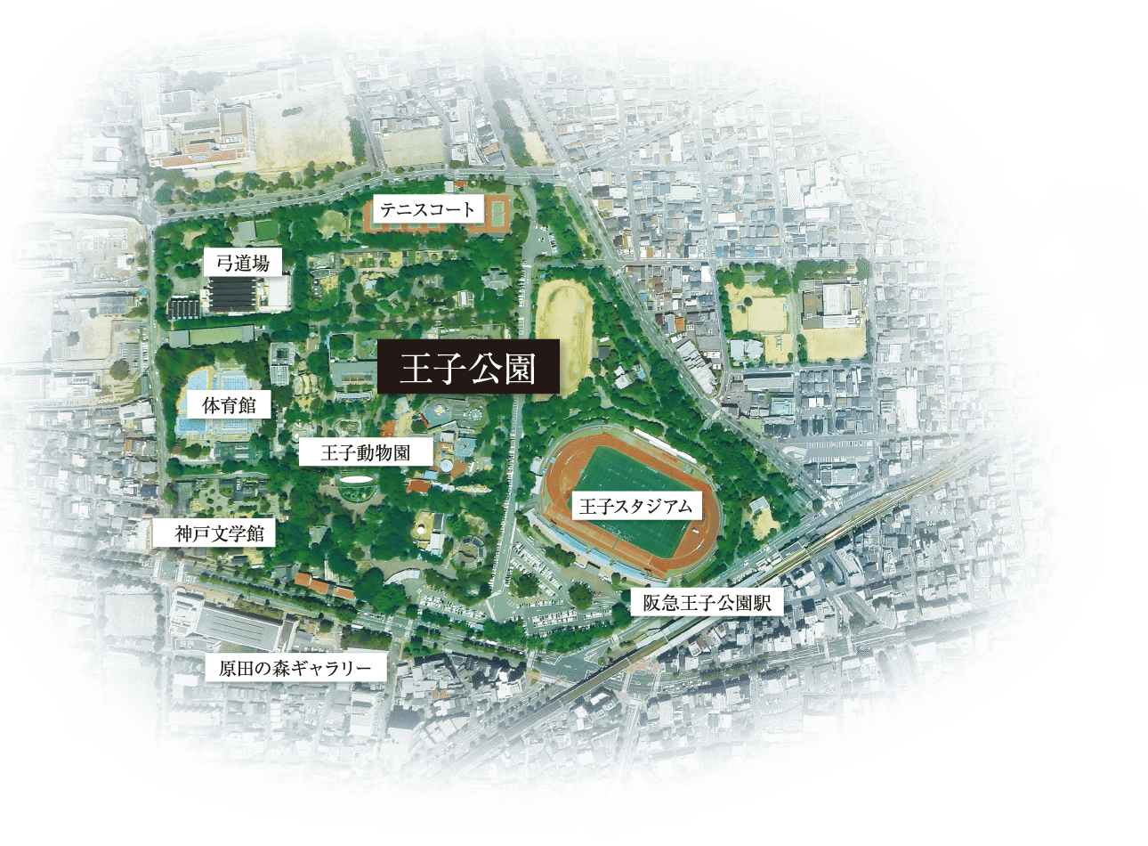 現地空撮写真（2024年10月撮影）