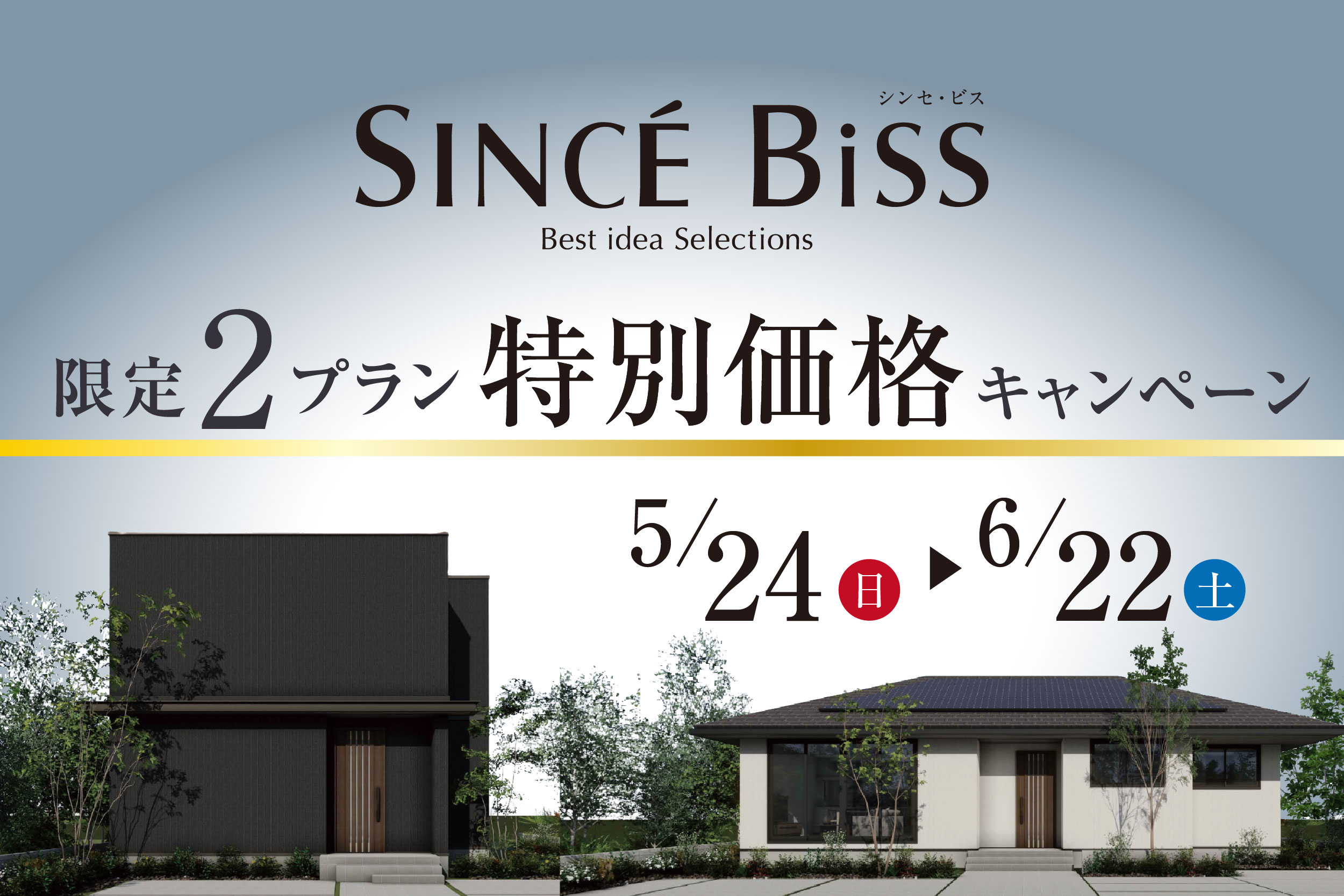 《Campaign》SINCÉ BiSS 限定2プラン特別価格キャンペーン｜5/24～6/22サムネイル画像